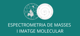Imagen Molecular y Espectometria de Masas
